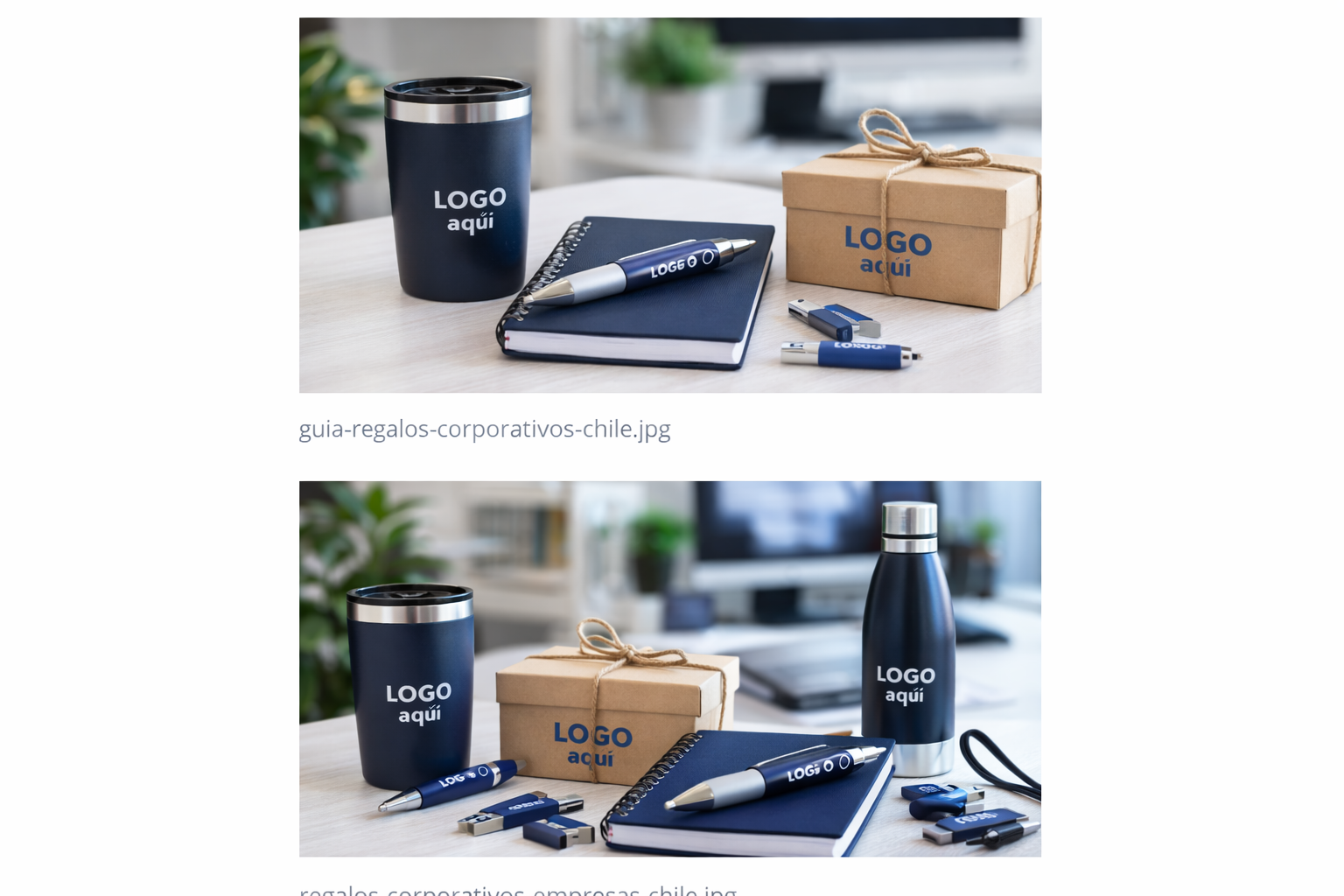 Guia de Regalos Corporativos
